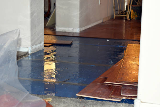 Professional Water Damage Restoration technician working in Elbe, WA